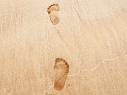 Jejak Kaki 115 Ribu Tahun Ditemukan di Arab Saudi, Milik Siapa?