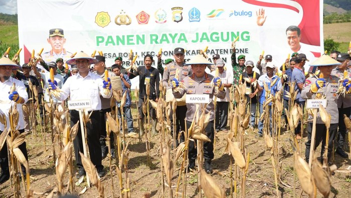 Kapolri Jenderal Listyo Sigit Prabowo bersama Menteri Pertanian (Mentan) Andi Amran Sulaiman melaksanakan kegiatan panen raya jagung di Bone, Sulawesi Selatan. (Dok istimewa).