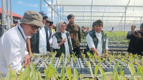 Menteri Kehutanan (Menhut) Raja Juli Antoni, saat berkunjung ke Persemaian Modern Mandalika di Desa Rembitan, Kecamatan Pujut, Lombok Tengah, Nusa Tenggara Barat (NTB), Jumat (16/5/2025).