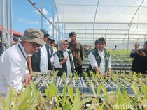 Menhut Raja Juli Tinjau Proses Pembibitan Pohon di Persemaian Mandalika