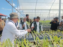 Menhut Sebut Persemaian Mandalika Bisa Produksi 5 Juta Bibit per Tahun