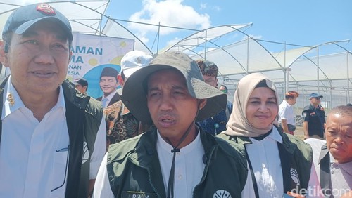 Menteri Kehutanan (Menhut) Raja Juli Antoni, saat mengunjungi Persemaian Mandalika Modern di Desa Rembitan, Kecamatan Pujut, Lombok Tengah, Jumat (16/5/2025). (Edi Suryansyah)
