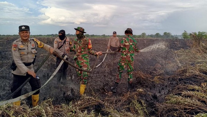 Polisi menangkap pelaku pembakar 10 hektare lahan di Rokan Hilir, Riau.