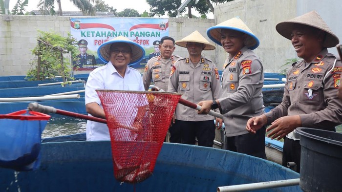 Polres Metro Depok membangun 15 kolam ikan lele di lahan milik anggota di Cibinong, Kabupaten Bogor, Jawa Barat (dok istimewa)