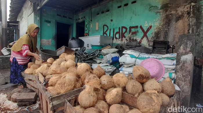 Salah satu penjual kelapa di Pasar Bantul, Mbah Pon saat menata dagangan kelapa, Jumat (16/5/2025).