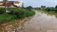 Selain sampah styrofoam ada juga sampah plastik dan material seperti bambu dan ranting pohon.