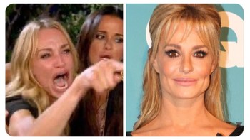 Taylor Armstrong adalah salah satu figur yang muncul dalam meme internet terkenal Woman yelling at a cat (Wanita berteriak pada kucing). Taylor Armstrong sedang berteriak histeris sambil menunjuk dalam sebuah adegan dramatis dari acara realitas The Real Housewives of Beverly Hills. Adegan ini berasal dari episode di mana ia terlibat dalam pertengkaran emosional. Panel kedua menampilkan seekor kucing putih bernama Smudge yang duduk di depan piring berisi sayuran di meja makan, dengan ekspresi wajah bingung atau tidak terkesan. Kedua gambar yang awalnya tidak terkait ini kemudian digabungkan untuk menciptakan meme yang sangat populer, biasanya digunakan untuk menggambarkan situasi di mana satu pihak (yang berteriak) sangat emosional atau membuat klaim yang tidak masuk akal, sementara pihak lain (kucing) bereaksi dengan kebingungan, ketidakpedulian, atau skeptisisme. Foto: X.com