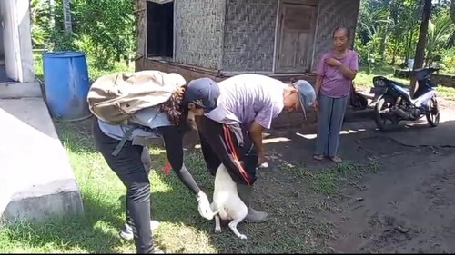 Vaksinasi darurat lokasi kasus gigitan anjing rabies di Desa Tegal Badeng Barat, Kecamatan Negara, Kabupaten Jembrana, Balu, Jumat (16/5/2025).