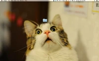 Wallpaper desktop kreatif
