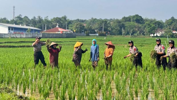 Sekolah Polisi Wanita (Sepolwan) menyelenggarakan Latihan Kerja (Latja) Siswa Diktuk (Inklusif) Bintara Polwan Angkatan ke-57 dan Bakomsus Ketahanan Pangan dan Kesehatan Masyarakat 2025 selama 10 hari pada tanggal 14-23 Mei 2025. Kegiatan ini diikuti oleh 456 siswa polwan sebagai wujud implementasi Asta Cita pemerintah.