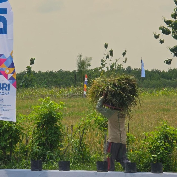 Aktivitas ketahanan pangan yang dikerjakan narapidana di Nusakambangan, Cilacap, Jateng.