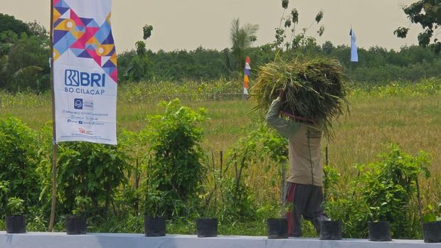 Aktivitas ketahanan pangan yang dikerjakan narapidana di Nusakambangan, Cilacap, Jateng.
