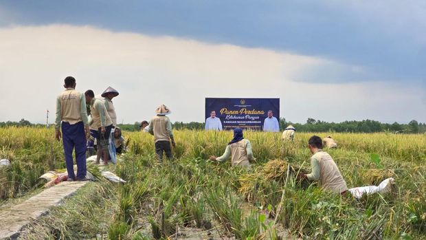 Aktivitas ketahanan pangan yang dikerjakan narapidana di Nusakambangan, Cilacap, Jateng.