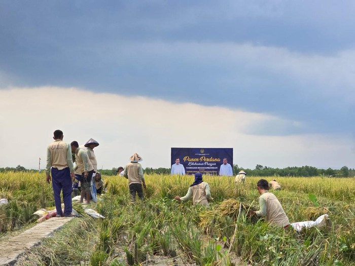 Aktivitas ketahanan pangan yang dikerjakan narapidana di Nusakambangan, Cilacap, Jateng.