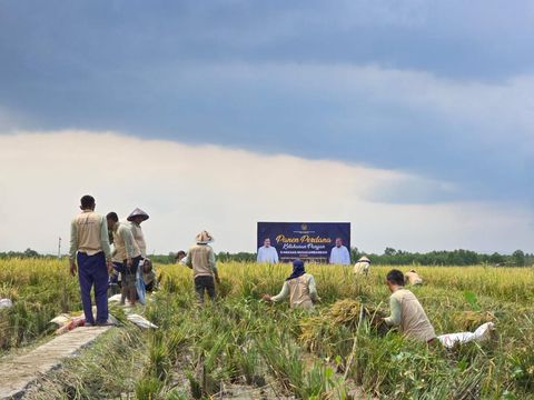 Aktivitas ketahanan pangan yang dikerjakan narapidana di Nusakambangan, Cilacap, Jateng.