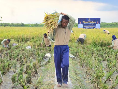 Aktivitas ketahanan pangan yang dikerjakan narapidana di Nusakambangan, Cilacap, Jateng.