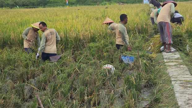 Aktivitas ketahanan pangan yang dikerjakan narapidana di Nusakambangan, Cilacap, Jateng.