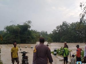 Banjir di Bojonegoro Hanyutkan Ternak hingga Rumah Warga