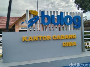 Bulog Bima Mulai Beli Jagung Petani Sesuai HPP, tapi Ada Syaratnya