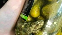 Sekilas tampilan acar ini tidak ada yang aneh, tapi di bagian bawahnya terdapat bangkai kodok yang sudah termarinasi kuah acar. Foto: Boredpanda