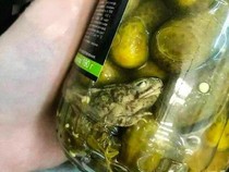 Burger Ceker hingga Acar Kodok, Ini 10 Tampilan Makanan Absurd!