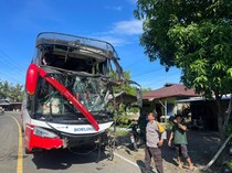 Bus Borlindo Bawa 20 Penumpang Rute Makassar-Palu Tabrak Pohon di Mamuju