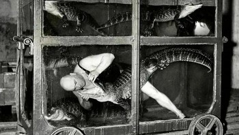 Seorang Pemain Sirkus di Dalam Mobil Akuarium Bersama Buaya, Berlin, 1933 Foto: Boredpanda