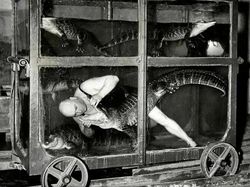 Foto Jadul Mengejutkan yang Luput dari Buku Sejarah