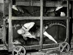 Foto Jadul Mengejutkan yang Luput dari Buku Sejarah