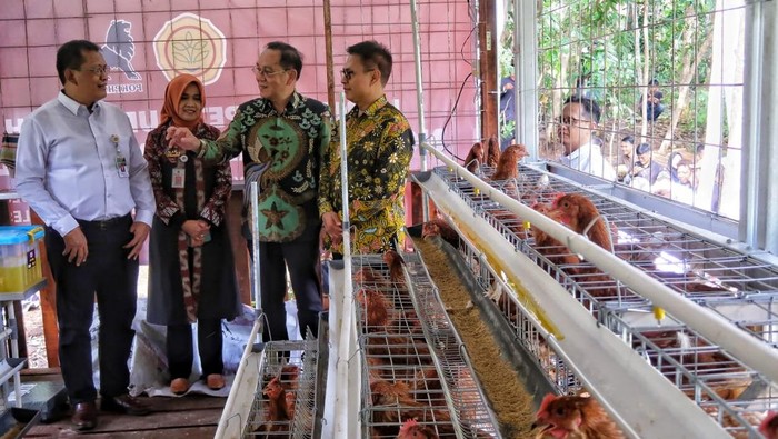 Penyerahan kandang petelur di Kelompok Peterna Lemah Asri Tamanmartani Kalasan Sleman, Rabu (14/5/2025).