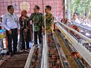 Top! Ada Kandang Ayam Petelur Buat Bantu Disabilitas di Gunungkidul