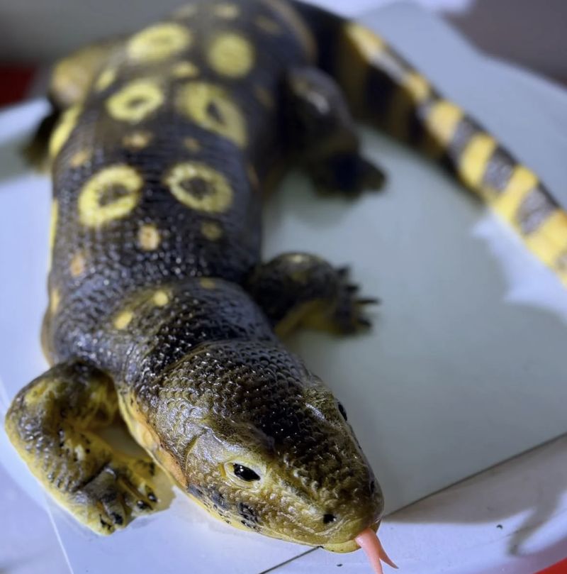 Kue biawak