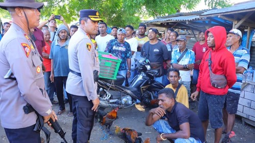 Tiga pelaku judi sabung ayam di Pasar Wairkoja, Sikka, Jumat (16/5/2025).