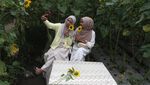 Ladang Bunga Matahari di Batu Jadi Magnet Wisata Musiman