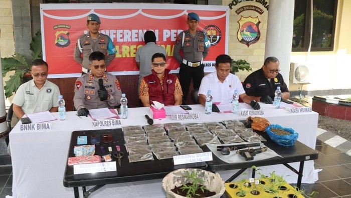 Barang bukti ganja kering dan ganja hasil budidaya milik MA, (25) yang ditunjukkan saat konferensi pers di Mapolres Bima, Jumat, (16/5/2025) sore. (Dok. Polres Bima).