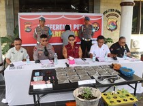 Pria Bima Nekat Budidaya Ganja di Rumah