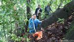 Bunga Langka Rafflesia Zollingeriana Mekar di Hutan Banyuwangi