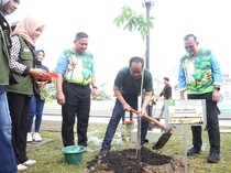 Cegah Bencana Hidrometeorologi, Pemprov Sumsel Dorong Gerakan Tanam Pohon
