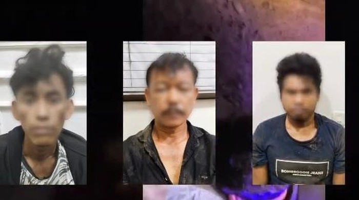 Pelaku pencurian hewan ternak di Banyuasin diringkus polisi.