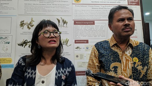 Wakil Menteri Pendidikan Tinggi, Sains, dan Teknologi (Diktisaintek) Stella Christie didampingi Rektor Unram Bambang Hari Kusumo saat mengunjungi Universitas Mataram, Minggu (18/5/2025). (Foto: Ahmad Viqi/detikBali)