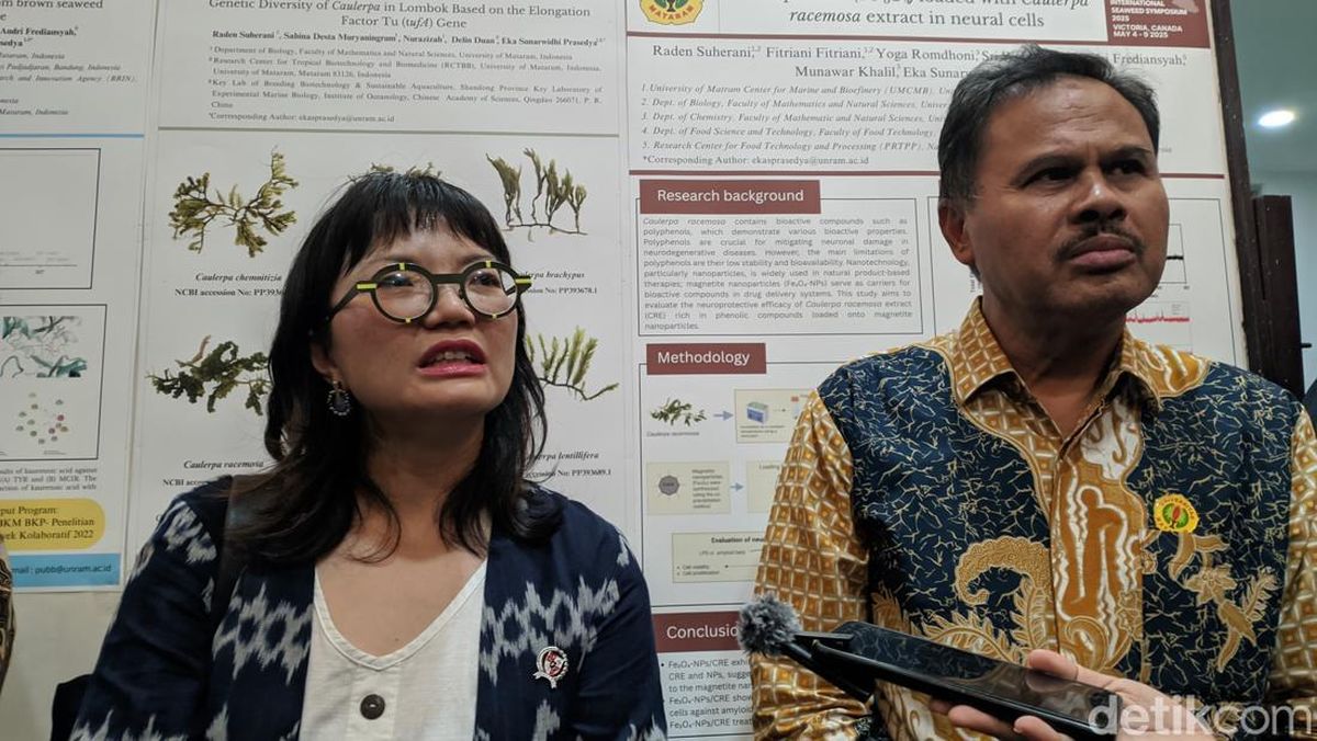 Stella Bakal Usulkan ke Prabowo Agar Program MBG Ikut Dikelola Kampus