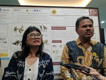 Stella Bakal Usulkan ke Prabowo Agar Program MBG Ikut Dikelola Kampus