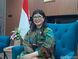 7 Tokoh dari Indonesia Lulusan Harvard University, AHY hingga Wamendikti Stella
