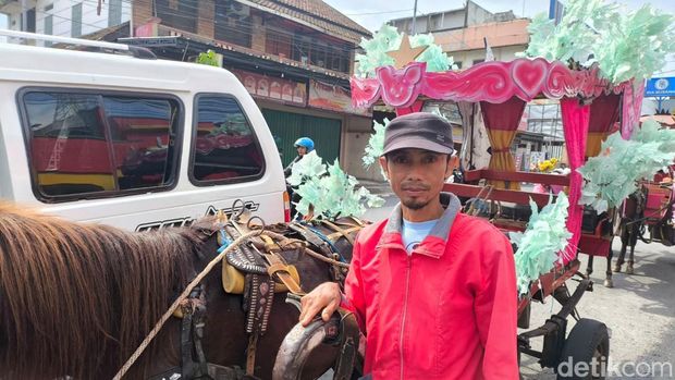 Alam bersama dalam hiasnya