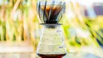 Ini 10 Jenis Coffee Dripper yang Paling Populer untuk Home Brewer