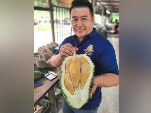 Muncul Durian Premium Tupai King dari Malaysia, Bagaimana Rasanya?