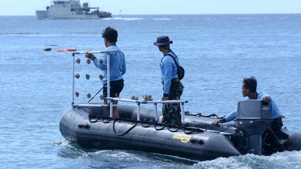 Jaga Laut, Kopaska TNI AL Rahabilitasi Terumbu Karang di Banyuwangi