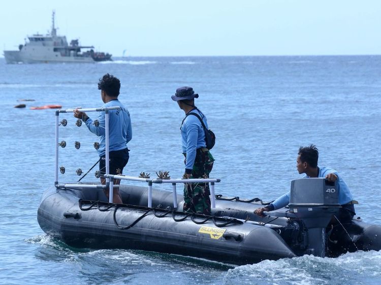 Jaga Laut, Kopaska TNI AL Rahabilitasi Terumbu Karang di Banyuwangi