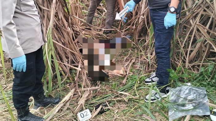 Polisi Periksa 7 Saksi Terkait Kematian Mita di Kebun Tebu Ogan Ilir