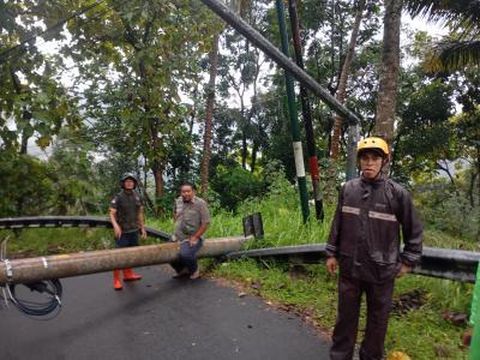 Kondisi jalan Dekso-Samigaluh, wilayah Purwoharjo, Samigaluh, Kulon Progo, tertutup pohon dan tiang listrik tumbang, Senin (19/5/2025).